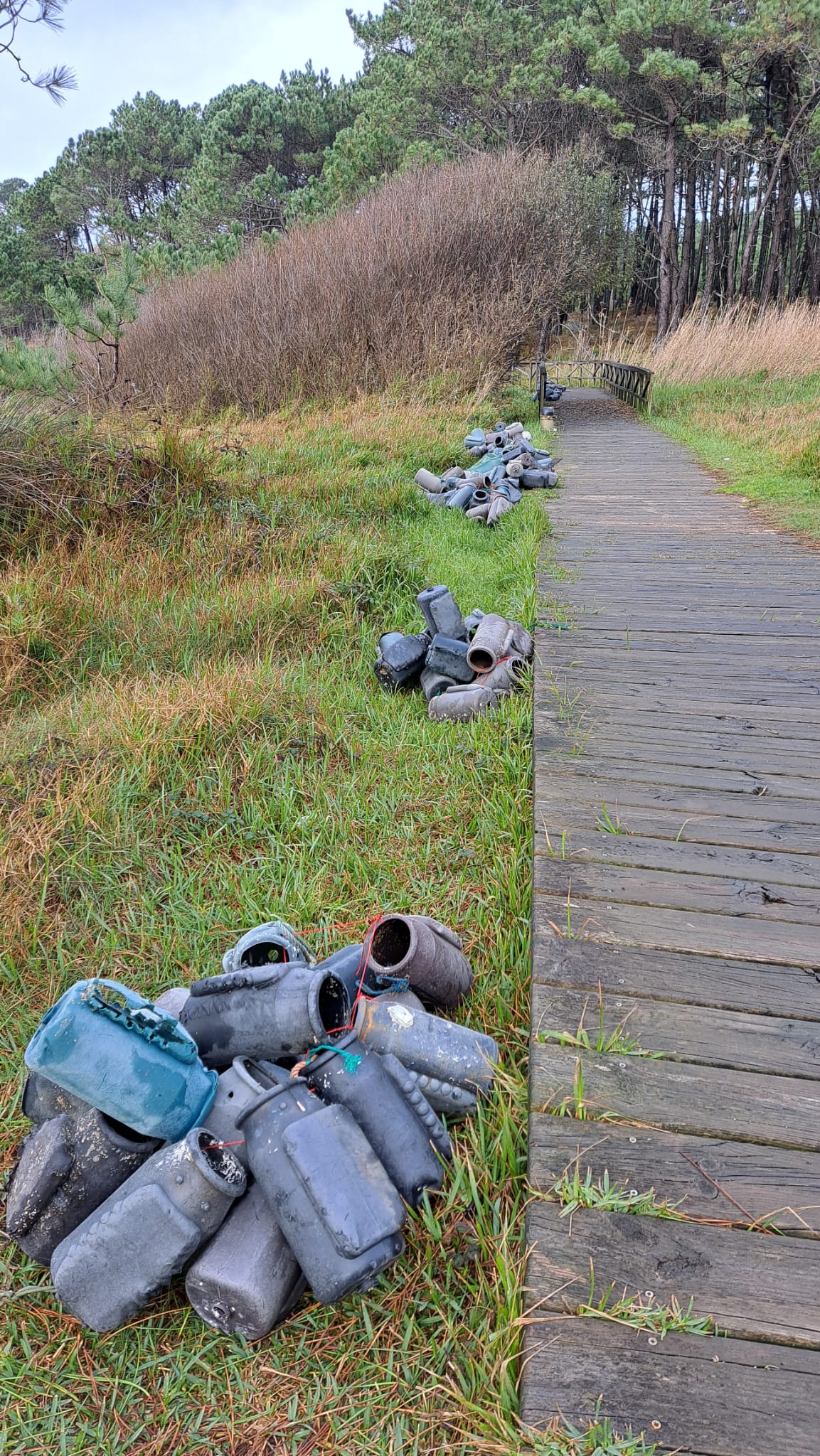 Aparecen en las playas de O Grove centenares de nasas de pulpo prohibidas en Galicia Aparecen en las playas de O Grove centenares de nasas de pulpo prohibidas en Galicia