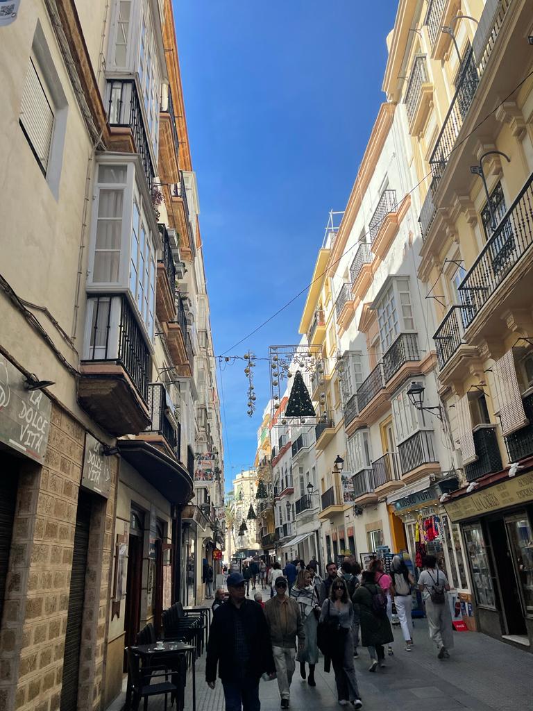 El Ayuntamiento de Cádiz pide a la Junta que retire 280 licencias de viviendas de uso turístico El Ayuntamiento de Cádiz pide a la Junta que retire 280 licencias de viviendas de uso turístico