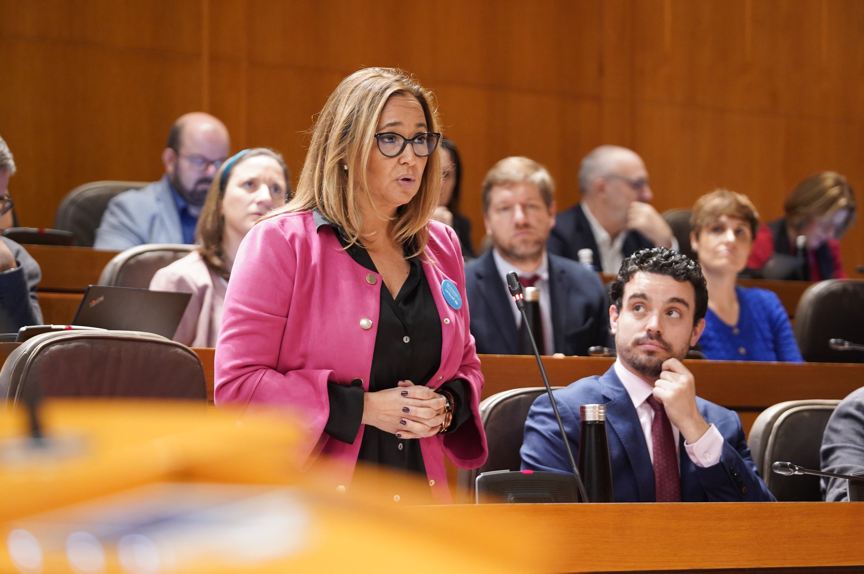 La amnistía ha centrado el debate en las Cortes de Aragón La amnistía ha centrado el debate en las Cortes de Aragón