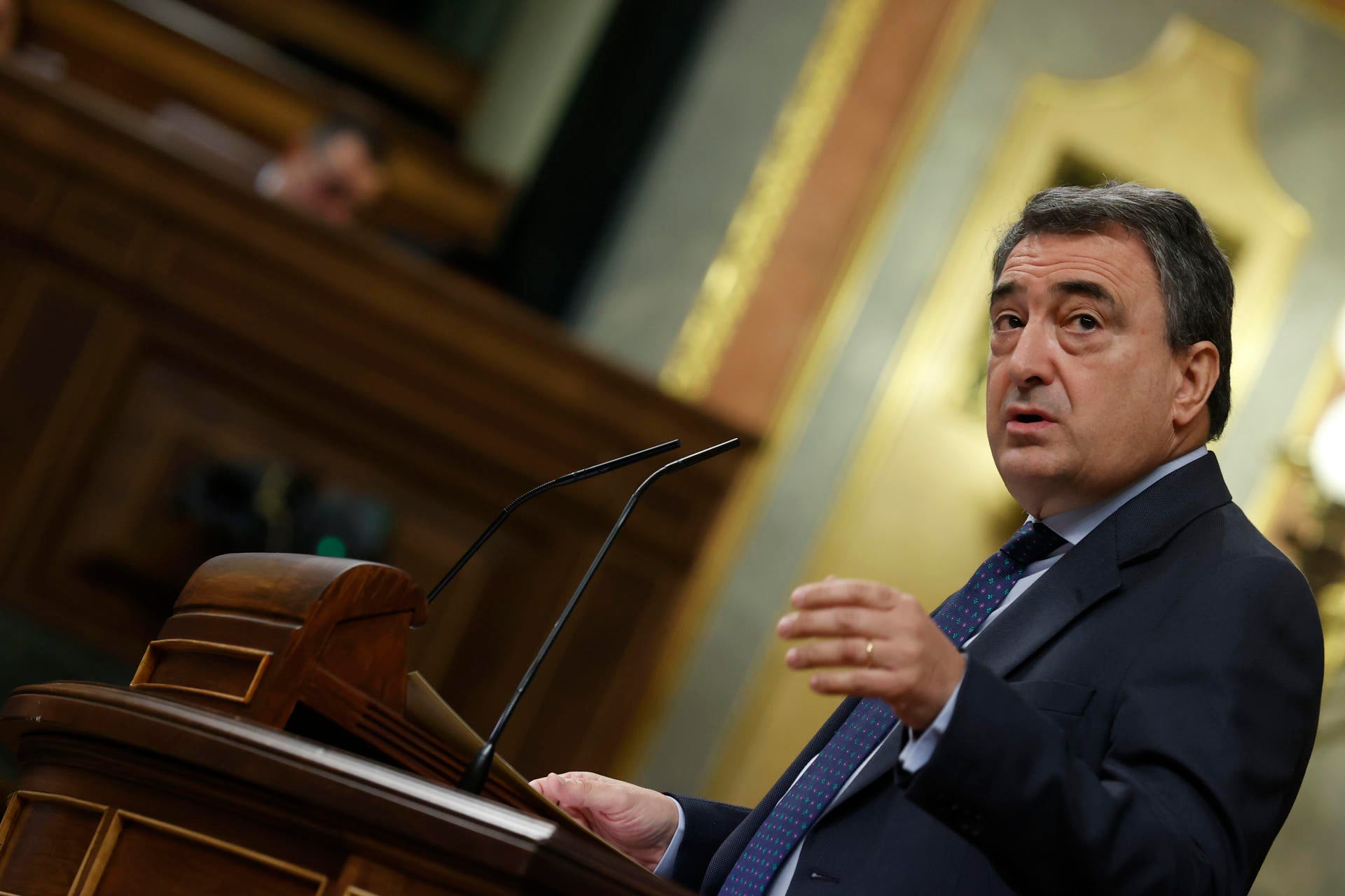 Aitor Esteban dice que entre los "próximos hitos" están el autogobierno vasco y el reconocimiento de Euskadi como nación Aitor Esteban dice que entre los "próximos hitos" están el autogobierno vasco y el reconocimiento de Euskadi como nación