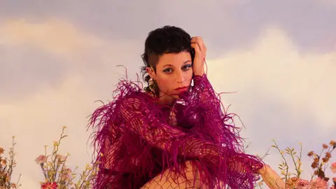 Travis Birds Travis Birds