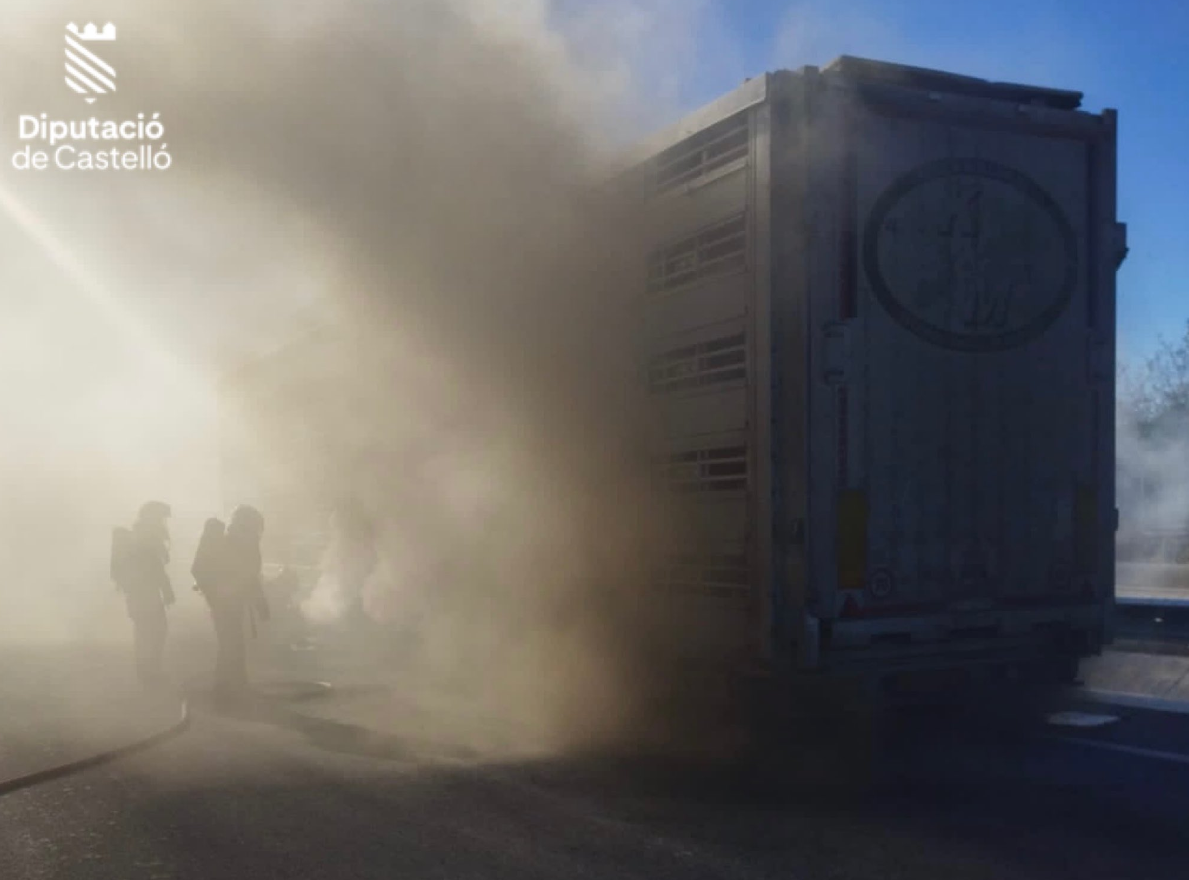 Fallecen 20 cerdos tras incendiarse el camión que los transportaba en la N-238, en Vinaròs Fallecen 20 cerdos tras incendiarse el camión que los transportaba en la N-238, en Vinaròs