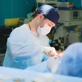 Imagen de archivo. Imagen de archivo.