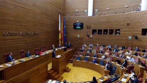 Maz&oacute;n durante su intervenci&oacute;n en Les Corts