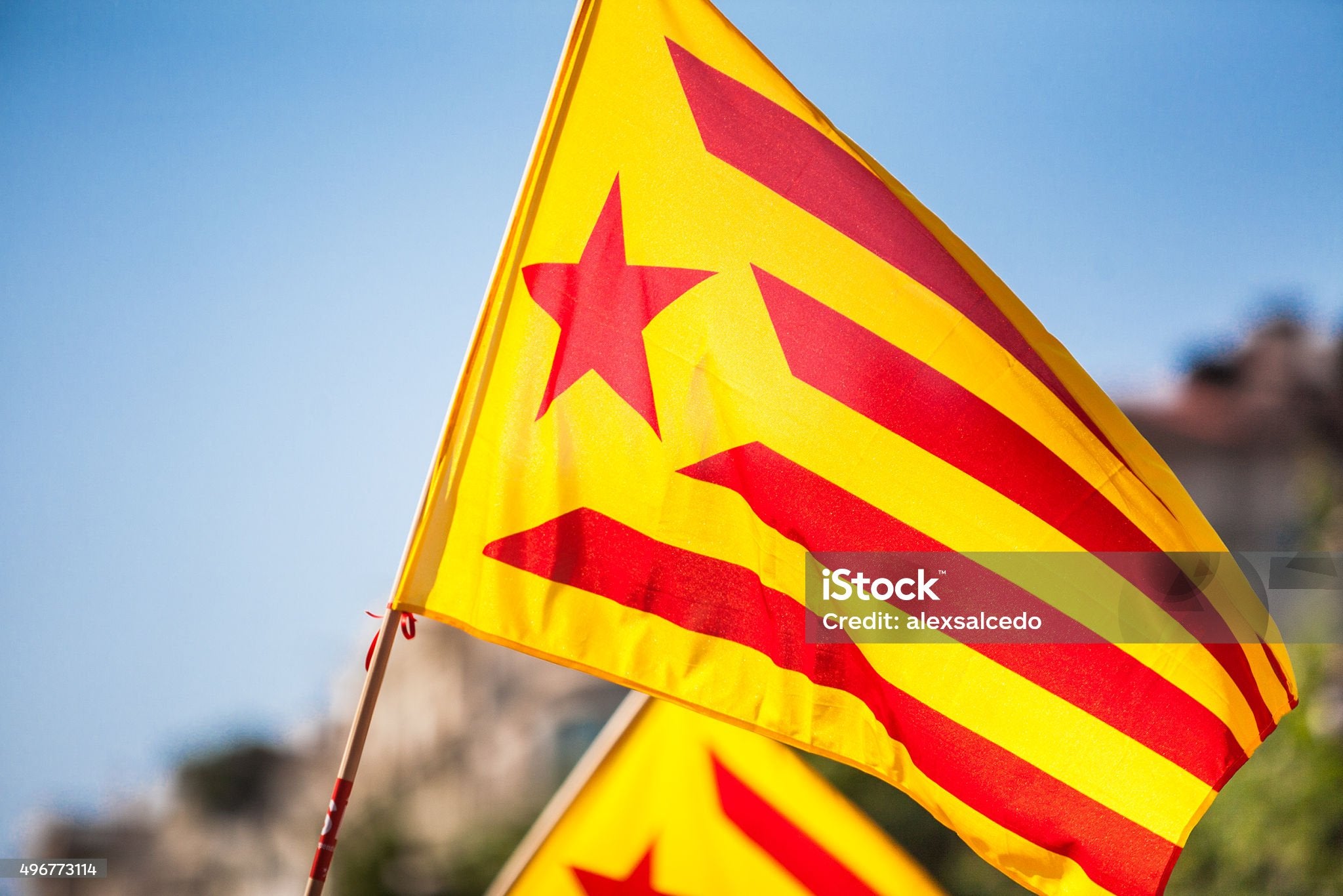 La tibieza ante la Ley de Amnistía no parece buena idea La tibieza ante la Ley de Amnistía no parece buena idea