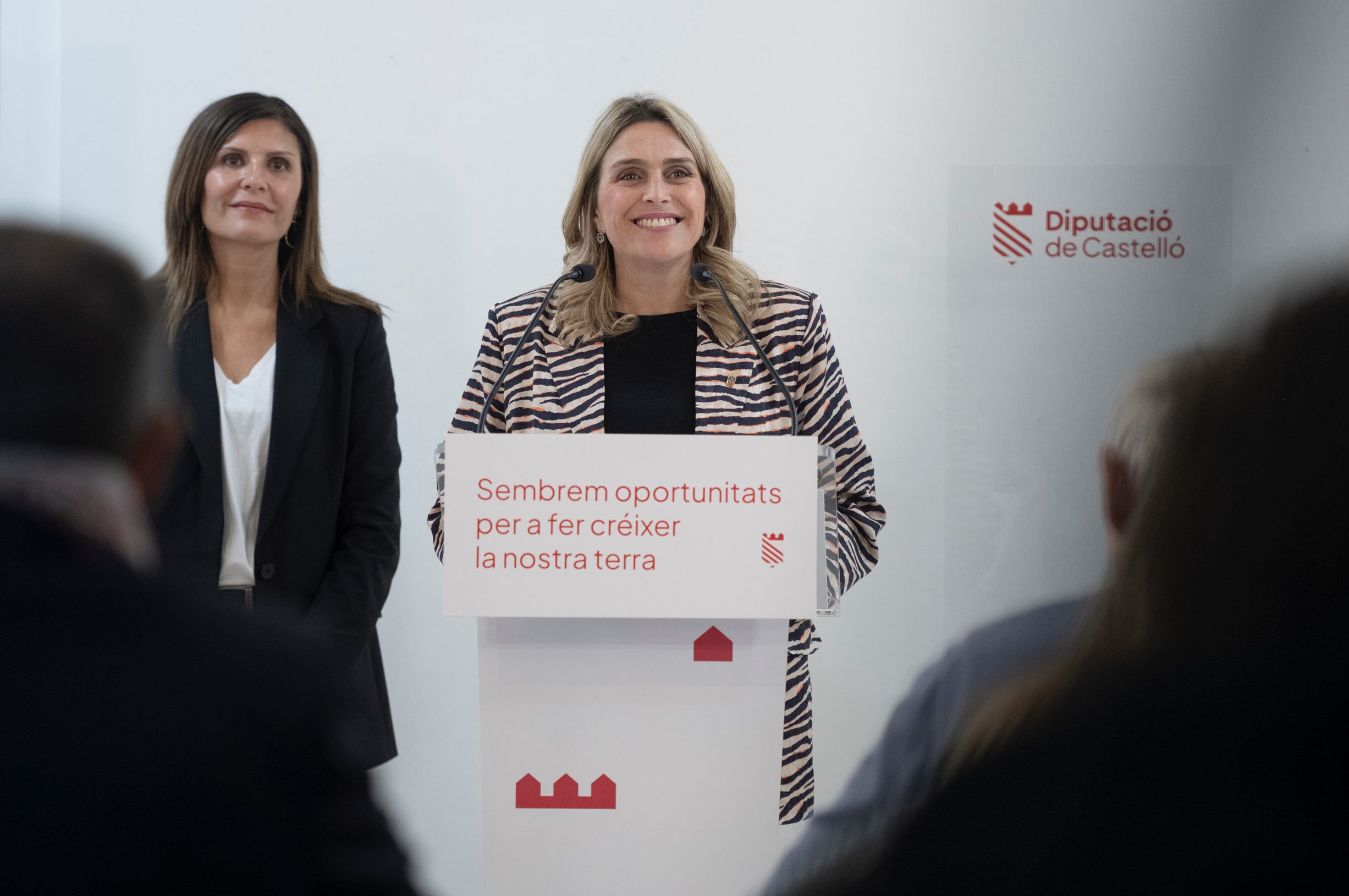 La Diputación de Castellón asegura que la falta de PGE dificulta las cuentas de 2025 La Diputación de Castellón asegura que la falta de PGE dificulta las cuentas de 2025