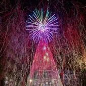 Vigo enciende sus luces de Navidad con el "mejor árbol del planeta" Vigo enciende sus luces de Navidad con el "mejor árbol del planeta"