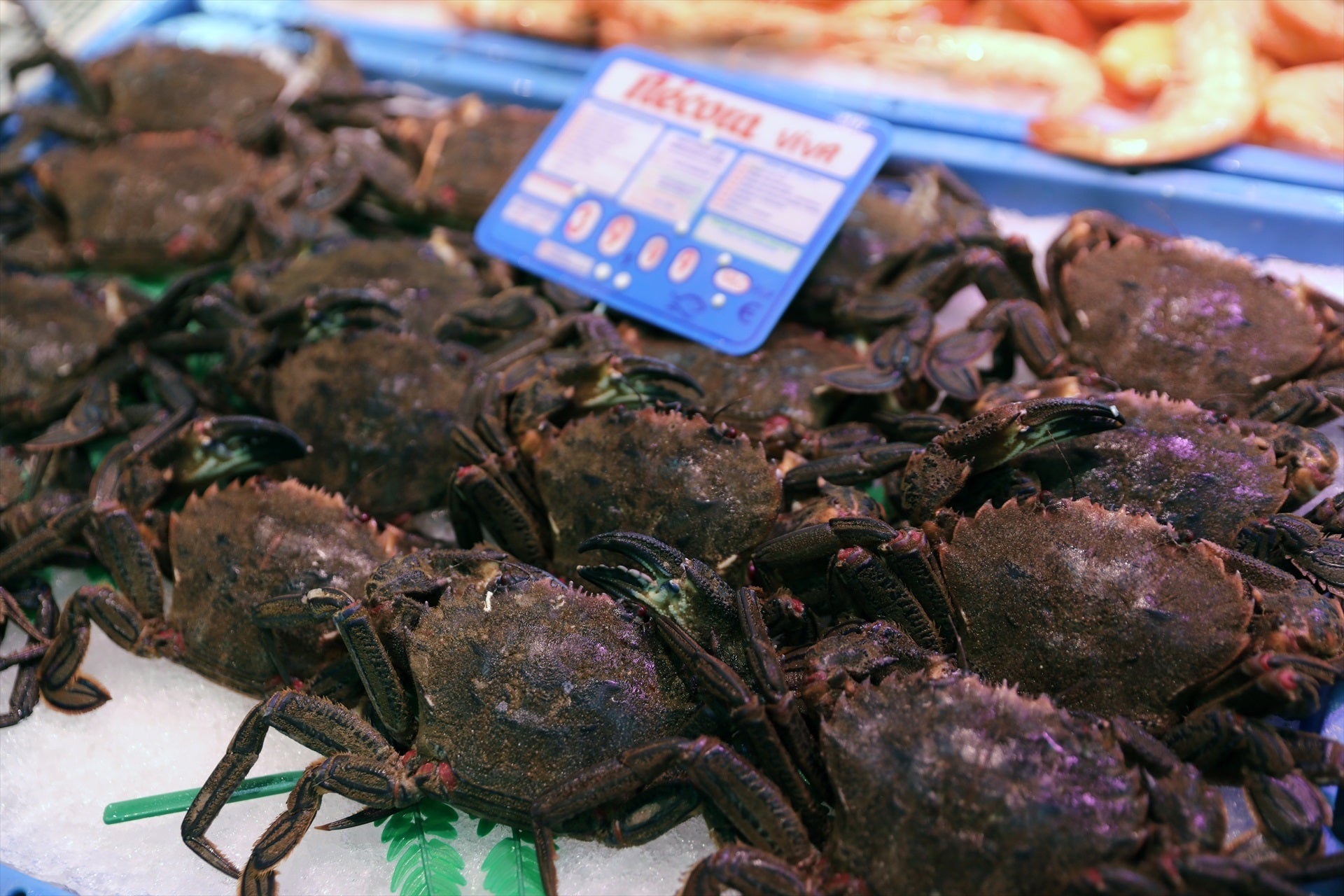 Alerta alimentaria por la presencia de 'Salmonella' en un lote de nécoras cocidas congeladas Alerta alimentaria por la presencia de 'Salmonella' en un lote de nécoras cocidas congeladas