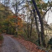 Asturias Viajera en otoño