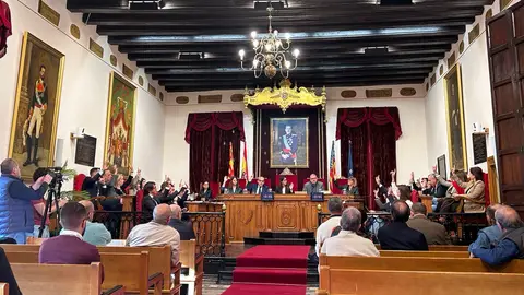 Votación en el pleno del Ayuntamiento de Elche del mes de noviembre. Votación en el pleno del Ayuntamiento de Elche del mes de noviembre.