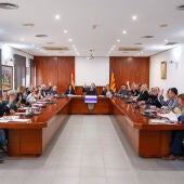 Pleno Alfaz del Pi, noviembre 2023