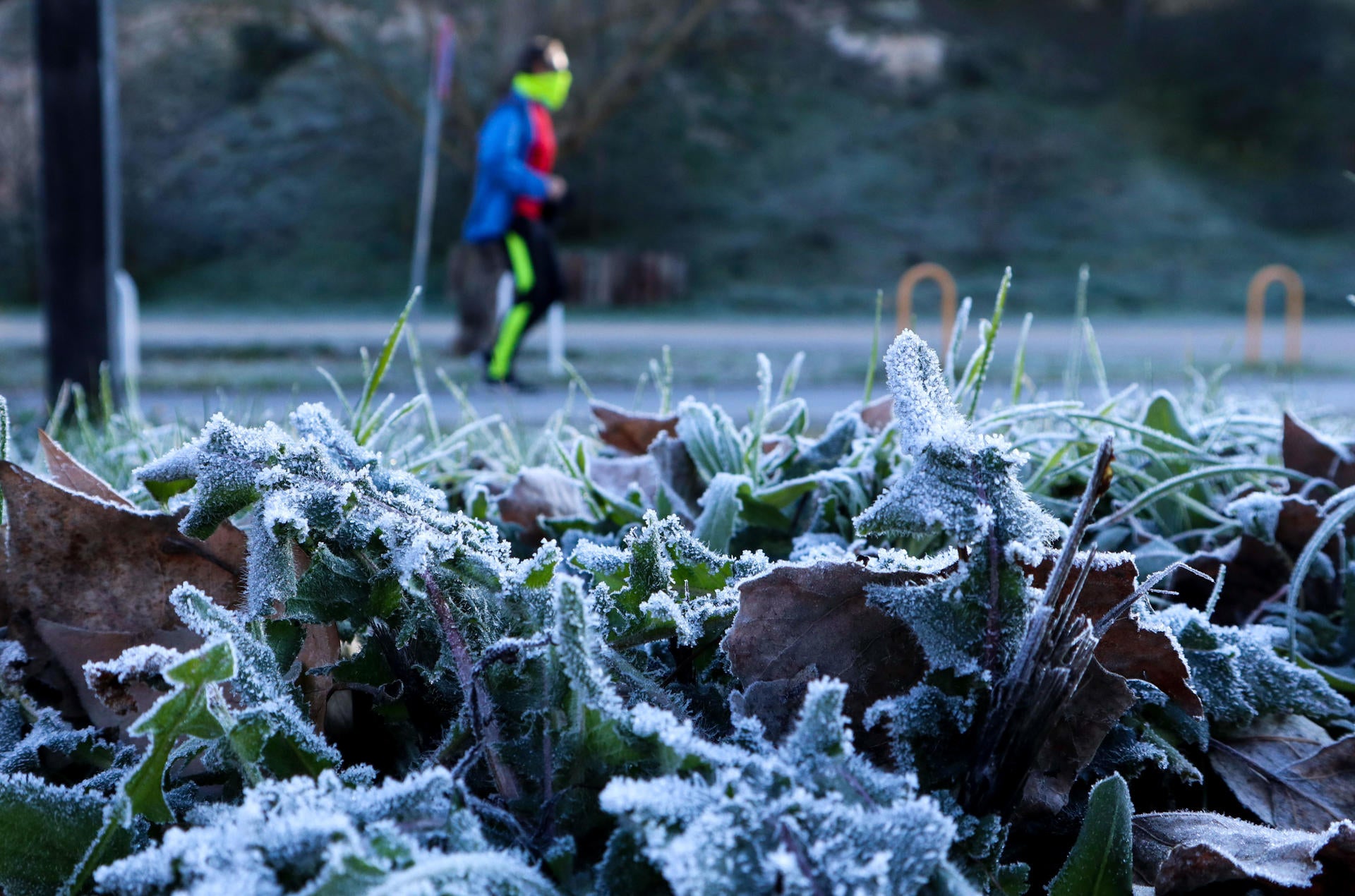 Aviso amarillo por frío y nieve en Navarra para este fin de semana Aviso amarillo por frío y nieve en Navarra para este fin de semana