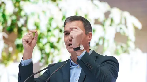 El presidente del Gobierno, Pedro Sánchez Personas físicas: ¿Es la amnistía más buena que la quinoa?