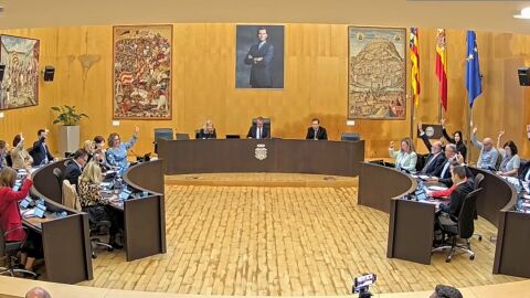 Pleno Benidorm noviembre 2023