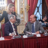Instantes del Pleno de la Diputación de Cádiz