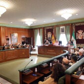 Pleno Ayuntamiento Marbella