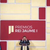 Vicente Boluda durante su intervención en los Premios Rei Jaume I