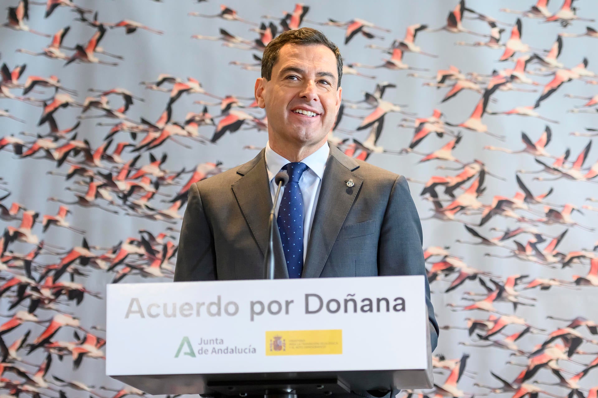 Juanma Moreno, sobre el acuerdo por Doñana: "Todos tenemos que ceder para llegar a un punto de encuentro" Juanma Moreno, sobre el acuerdo por Doñana: "Todos tenemos que ceder para llegar a un punto de encuentro"