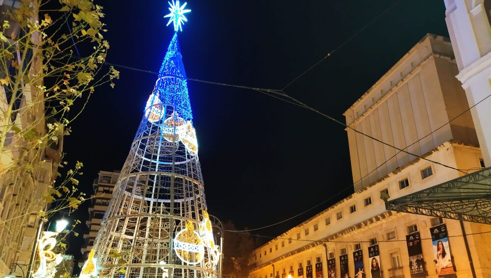 El árbol de casi 20 metros en la avenida de la Constitución 