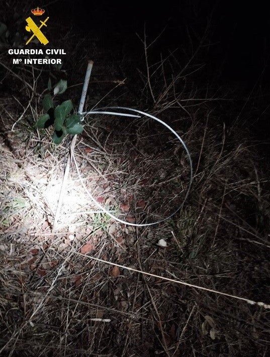 Investigan a una persona por colocar 41 lazos ilegales en un coto privado de Moral de Calatrava Investigan a una persona por colocar 41 lazos ilegales en un coto privado de Moral de Calatrava