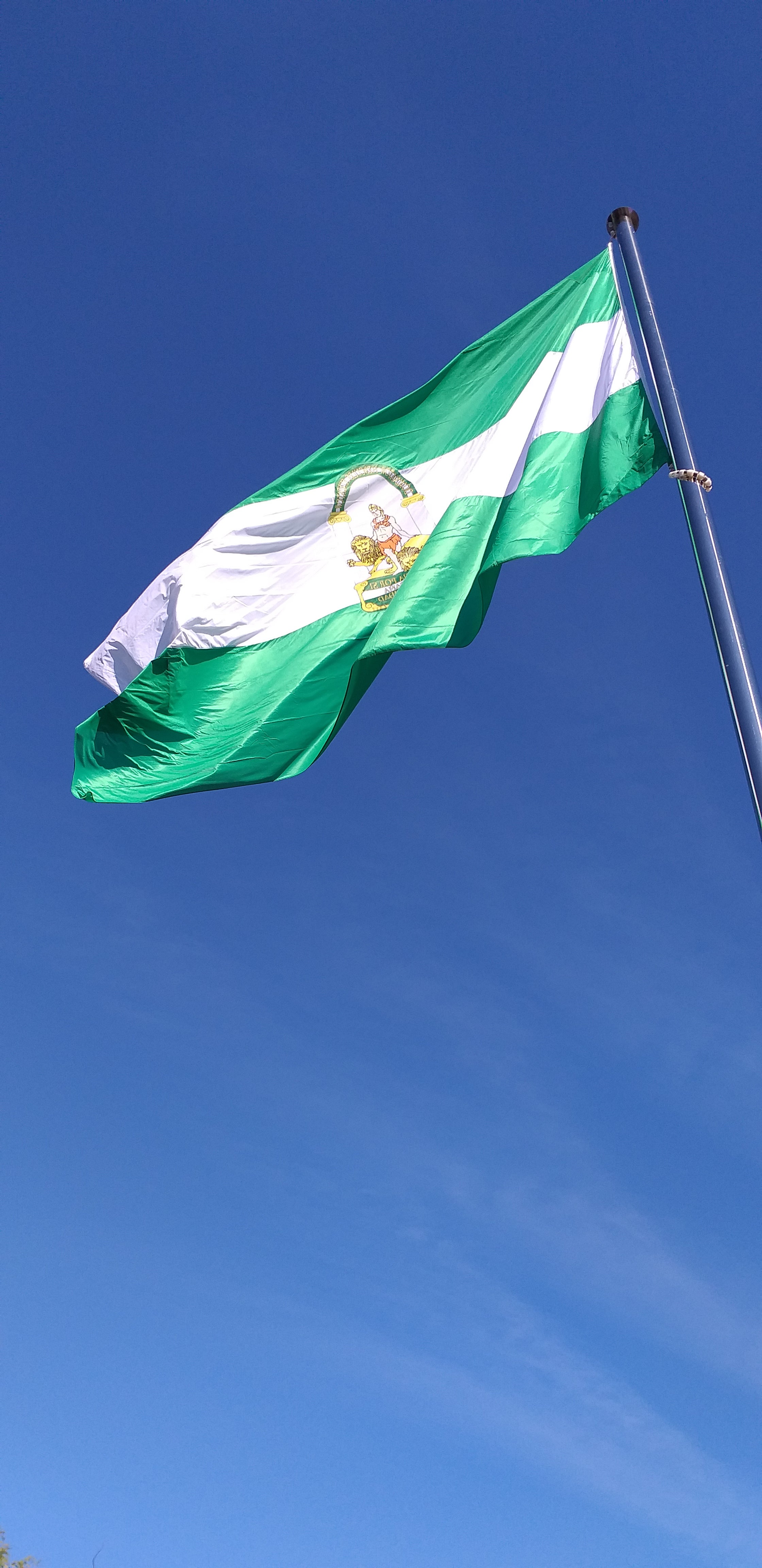Andalucía bandera 