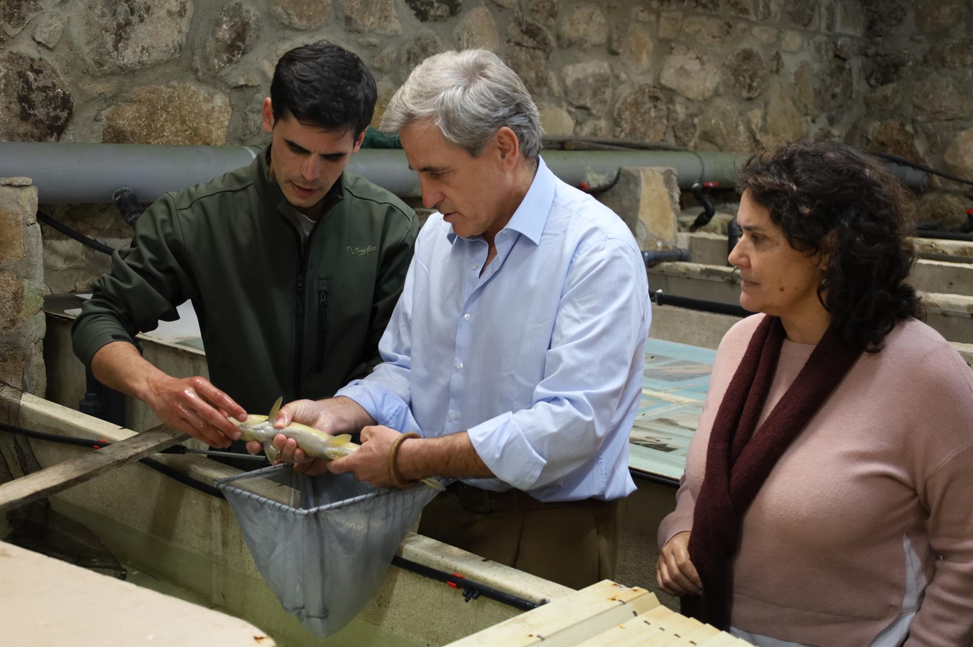 La Junta resalta el papel de la piscifactoría de Jerte para que Extremadura sea una "potencia" en pesca de montaña La Junta resalta el papel de la piscifactoría de Jerte para que Extremadura sea una "potencia" en pesca de montaña
