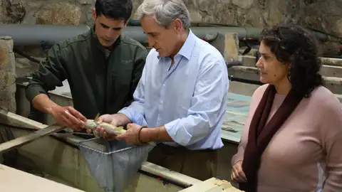 La Junta resalta el papel de la piscifactoría de Jerte para que Extremadura sea una "potencia" en pesca de montaña La Junta resalta el papel de la piscifactoría de Jerte para que Extremadura sea una "potencia" en pesca de montaña