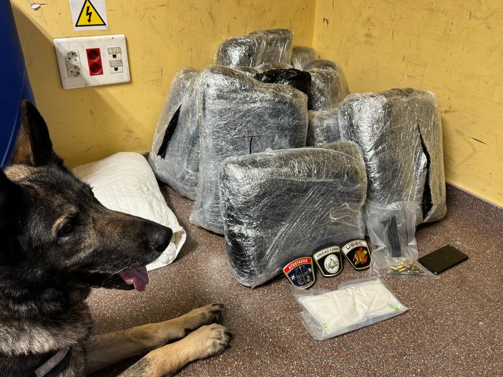 La Policía Local de Alicante intercepta otro alijo de 20 kilos de droga con la ayuda del perro 'Gus' La Policía Local de Alicante intercepta otro alijo de 20 kilos de droga con la ayuda del perro 'Gus'