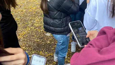 Niños mirando sus móviles Niños mirando sus móviles