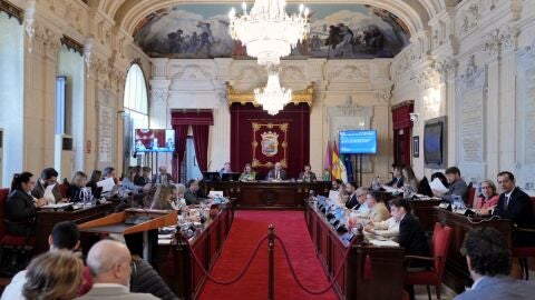 Pleno Ayuntamiento de M&aacute;laga