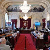Pleno Ayuntamiento de Málaga Pleno Ayuntamiento de Málaga