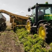 Las consecuencias del cambio climático y las guerras para el sector agroalimentario