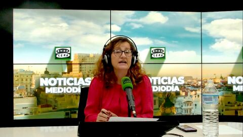 Elena Gijón: "Puestos a aceptar verificador como elemento de compañía, aceptémoslo para todo"