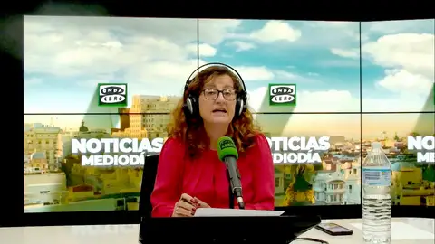 Elena Gijón: "Puestos a aceptar verificador como elemento de compañía, aceptémoslo para todo" Elena Gijón: "Puestos a aceptar verificador como elemento de compañía, aceptémoslo para todo"