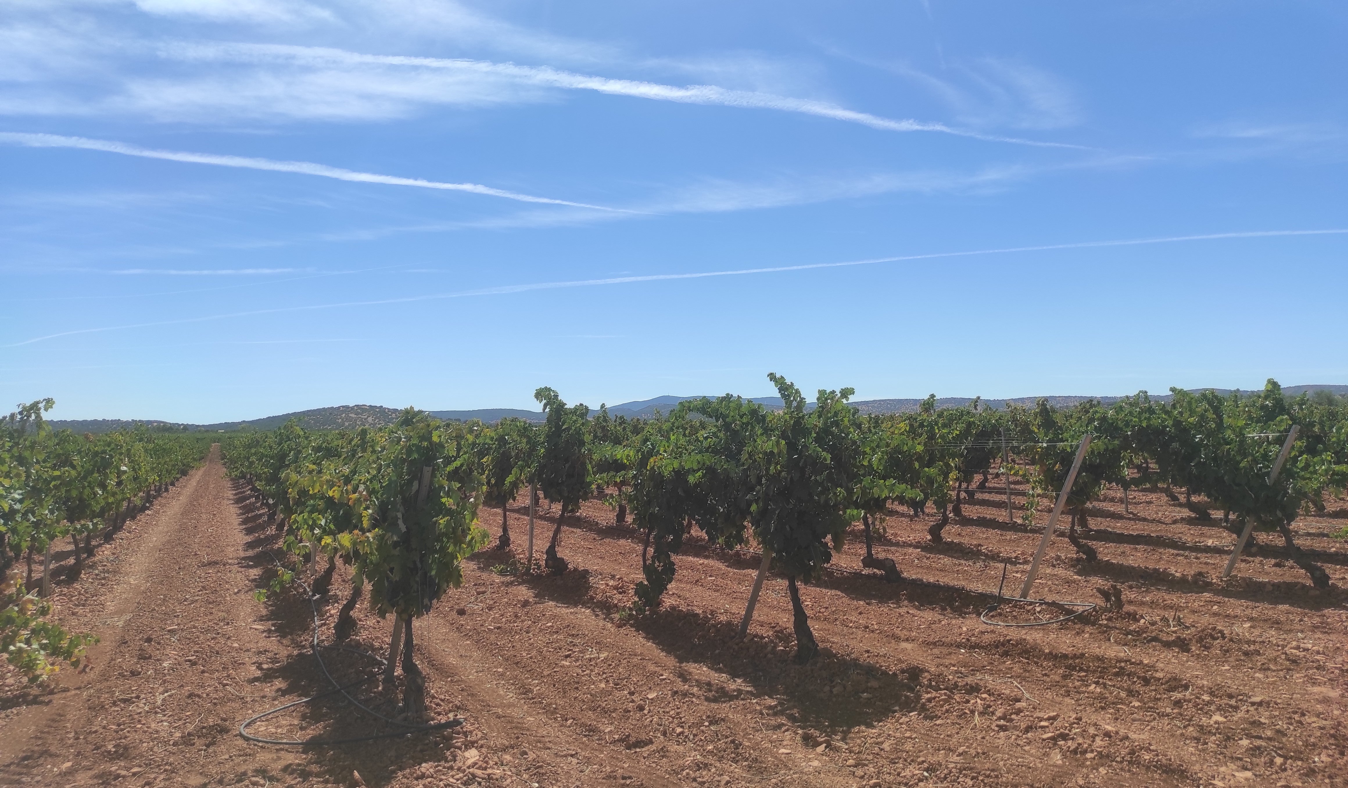 ASAJA Ciudad Real se opone a los recortes en las dotaciones de agua para los regantes del Alto Guadiana ASAJA Ciudad Real se opone a los recortes en las dotaciones de agua para los regantes del Alto Guadiana