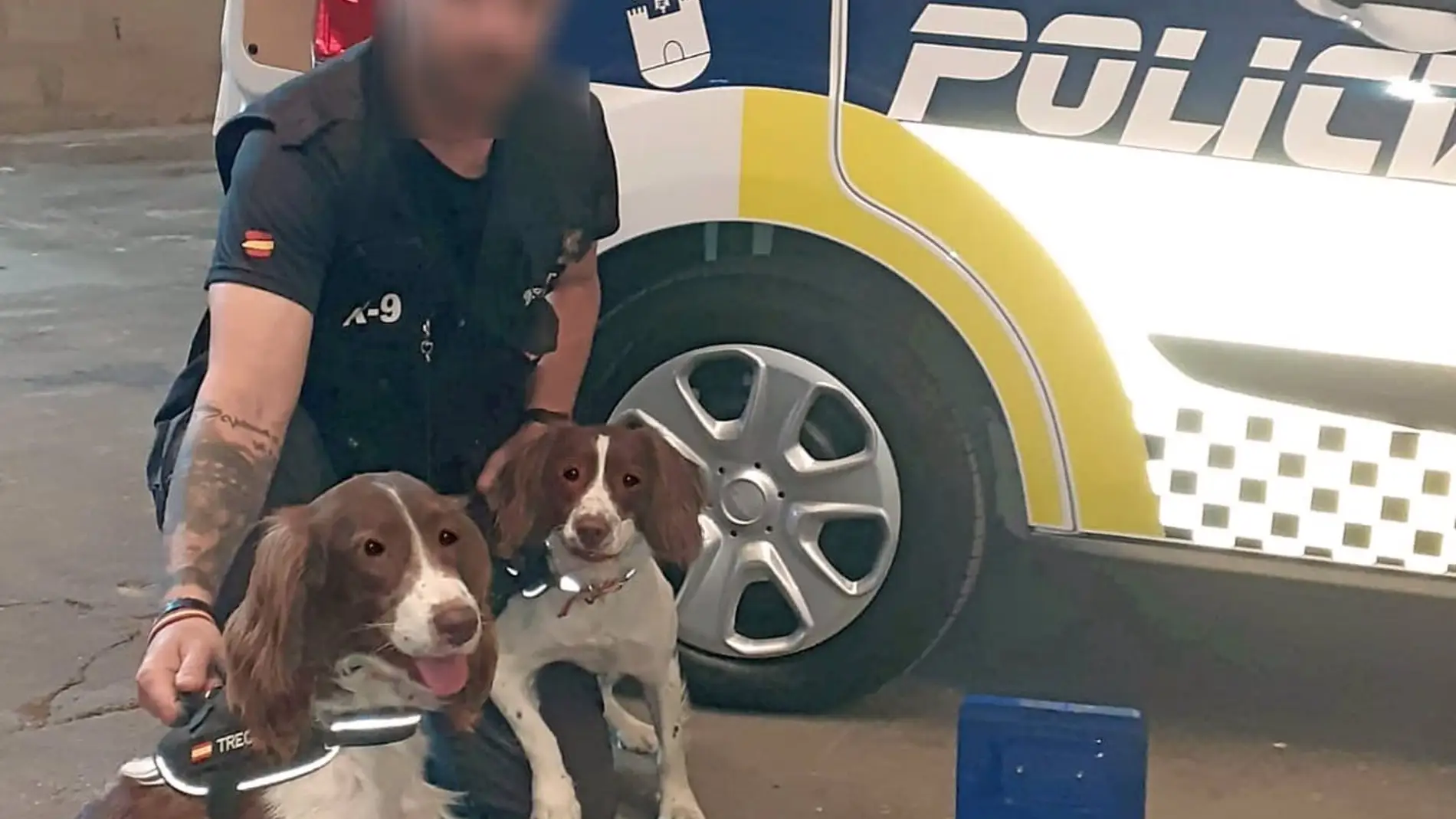 10.000 euros en droga, detectada por un perro policía en Alaquàs (Valencia) 