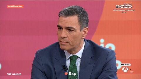 Pedro S&aacute;nchez