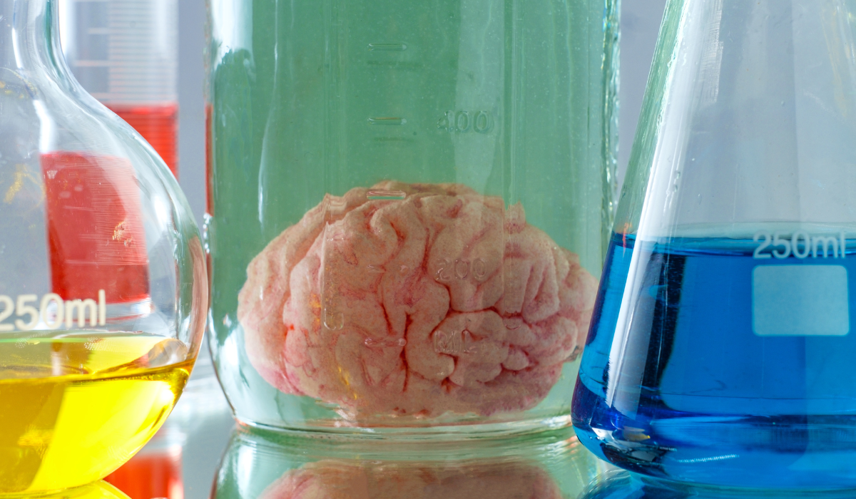 El Banco de Cerebros murciano uno de los mejor valorados: conoce su utilidad El Banco de Cerebros murciano uno de los mejor valorados: conoce su utilidad