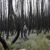 Fotografía del Chef en el bosque quemado