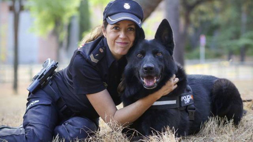 Una "jubilación" digna y de calidad para los perros policía episode artwork