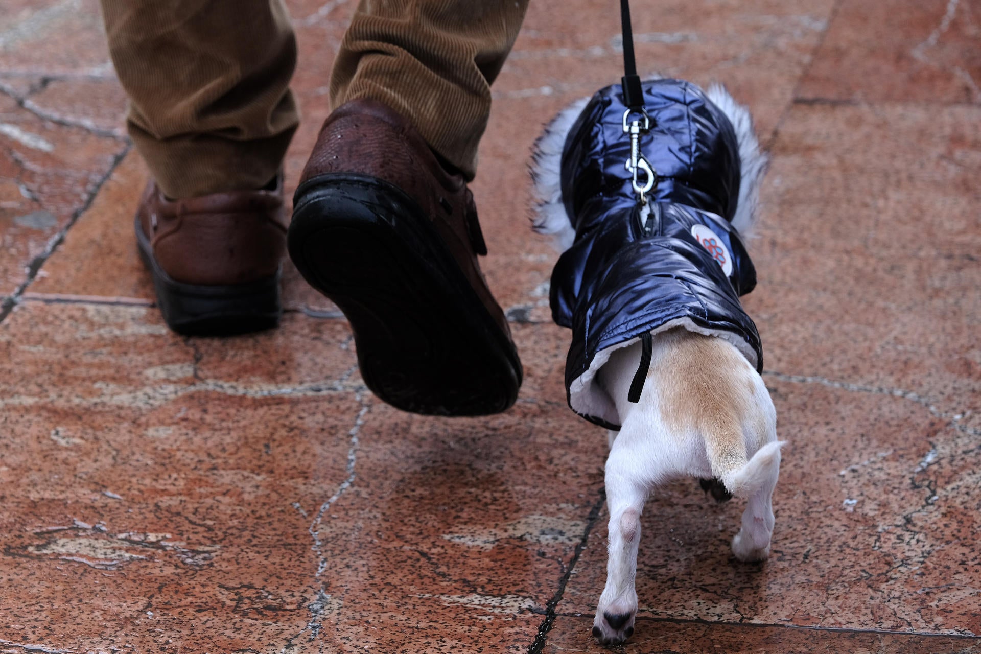 La AEMET avisa del tiempo que hará en Navidad: habrá una anomalía La AEMET avisa del tiempo que hará en Navidad: habrá una anomalía