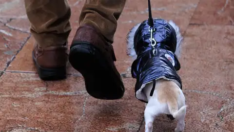 La AEMET avisa del tiempo que hará en Navidad: habrá una anomalía La AEMET avisa del tiempo que hará en Navidad: habrá una anomalía