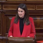 Cristina López Alsina vuelve al Congreso