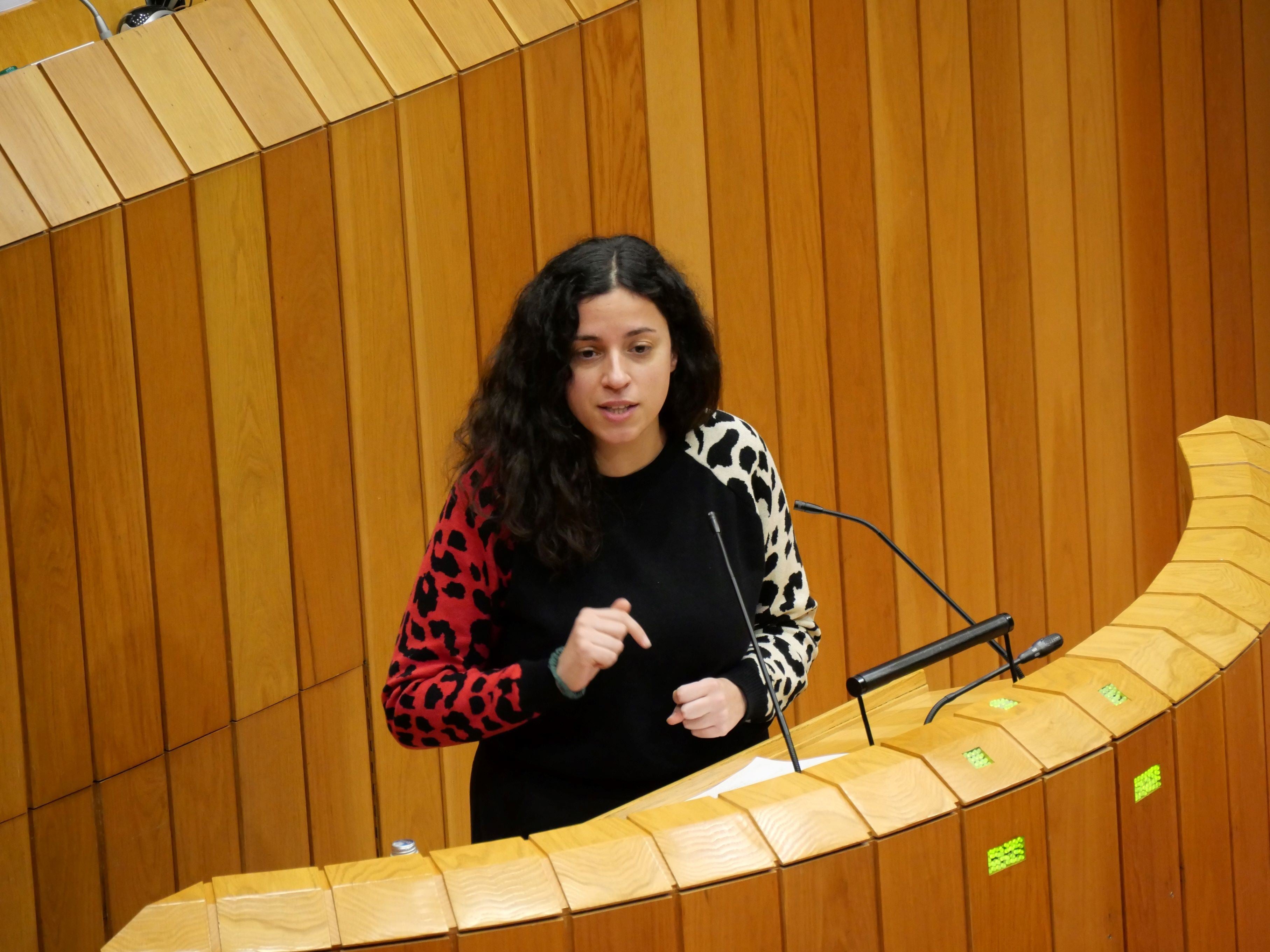 O BNG presenta o seu "Plan Ourense Vivo" un ambicioso proxecto de revitalización O BNG presenta o seu "Plan Ourense Vivo" un ambicioso proxecto de revitalización