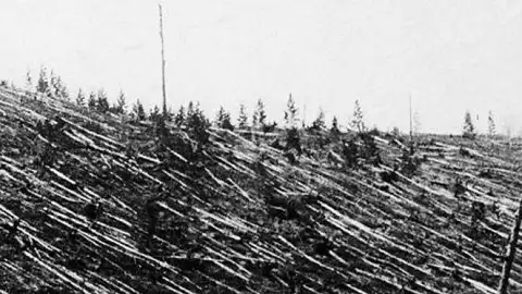 https:historia.nationalgeographic.com.es/a/tunguska-misteriosa-devastacion-que-ocurrio-siberia-1908_17391 https:historia.nationalgeographic.com.es/a/tunguska-misteriosa-devastacion-que-ocurrio-siberia-1908_17391