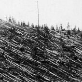 https://historia.nationalgeographic.com.es/a/tunguska-misteriosa-devastacion-que-ocurrio-siberia-1908_17391