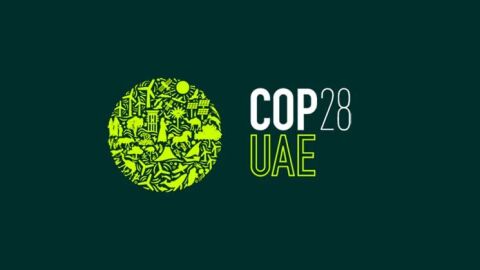 https://unfccc.int/es/cop28