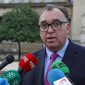El consejero de Turismo, Arturo Bernal, en la atención a medios en el Museo Arqueológico de Sevilla. El consejero de Turismo, Arturo Bernal, en la atención a medios en el Museo Arqueológico de Sevilla.