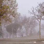 Un hombre camina entre la intensa niebla Un hombre camina entre la intensa niebla