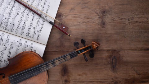 Violin